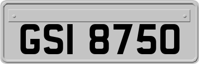 GSI8750