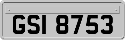 GSI8753