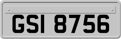 GSI8756