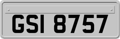 GSI8757