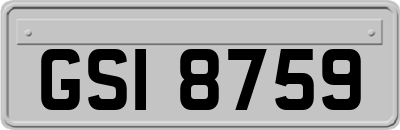 GSI8759