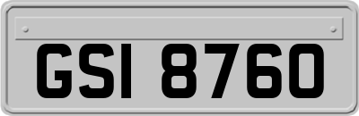 GSI8760