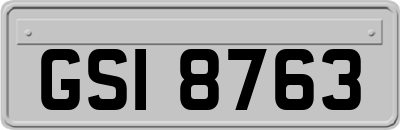 GSI8763