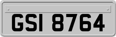 GSI8764