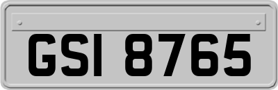 GSI8765