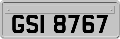 GSI8767