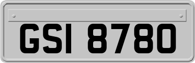 GSI8780