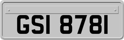 GSI8781