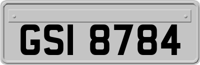 GSI8784