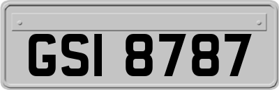 GSI8787