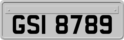 GSI8789