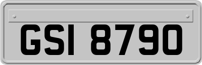 GSI8790