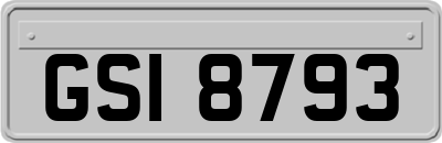 GSI8793