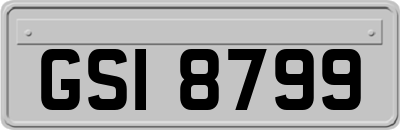 GSI8799