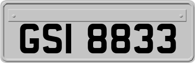 GSI8833
