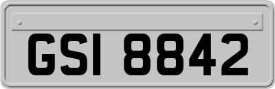 GSI8842