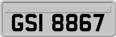 GSI8867