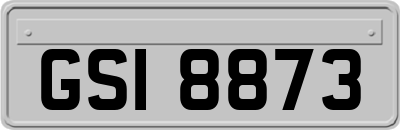 GSI8873