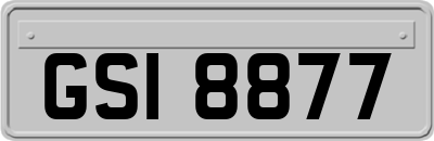 GSI8877