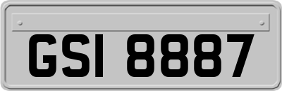 GSI8887