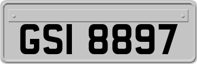 GSI8897