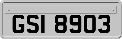 GSI8903