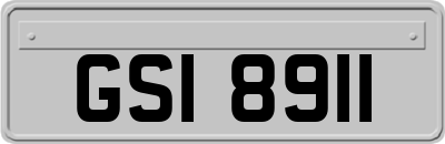 GSI8911