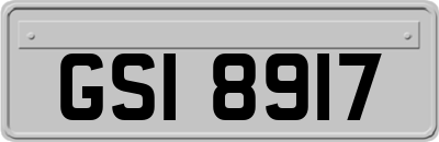 GSI8917