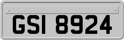 GSI8924