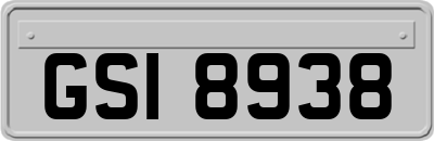 GSI8938