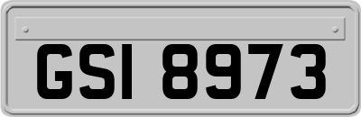 GSI8973