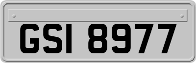 GSI8977
