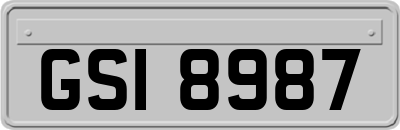 GSI8987