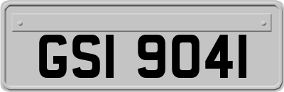 GSI9041