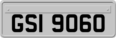 GSI9060