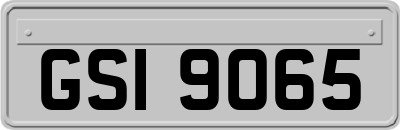 GSI9065