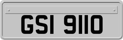 GSI9110