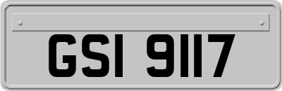 GSI9117