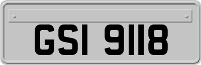 GSI9118