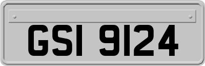 GSI9124