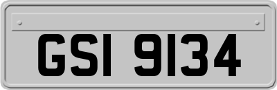 GSI9134