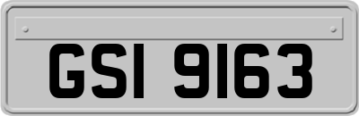 GSI9163