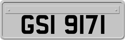 GSI9171
