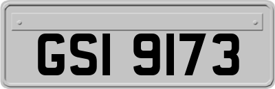 GSI9173