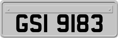GSI9183