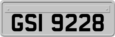 GSI9228