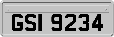 GSI9234
