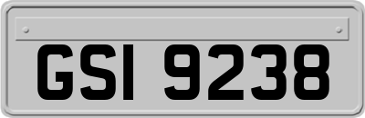 GSI9238