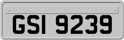 GSI9239