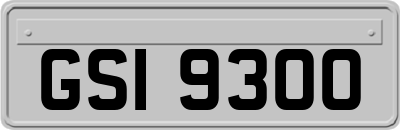 GSI9300